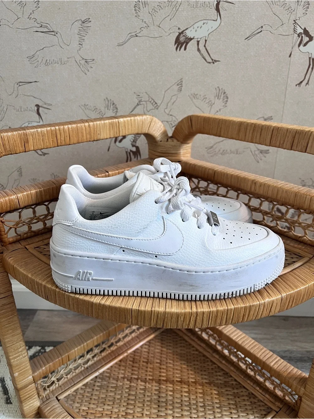 Nike size only